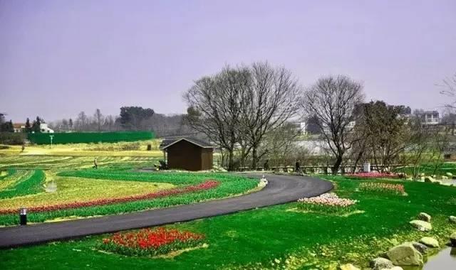 传闻过芝樱花吗？湖北那11个处所，启包了最佳丽间4月天！-36.jpg