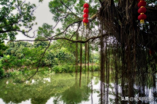 五一假期来那里玩？珠海玩耍下篇，那些景面值得挨卡，景好又免费-8.jpg