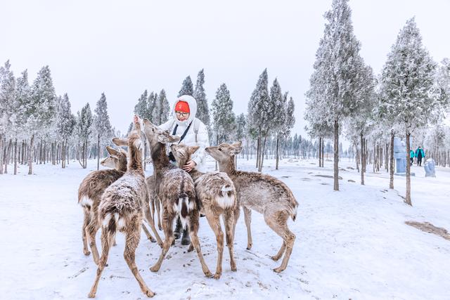 郑州周边自驾游，山上的乡堡滑雪场开放了！跨年除夕带娃好去向-9.jpg