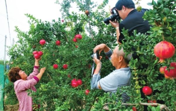 单节出游没必要舍本逐末 郑州周边县市游攻略请拿好-1.jpg