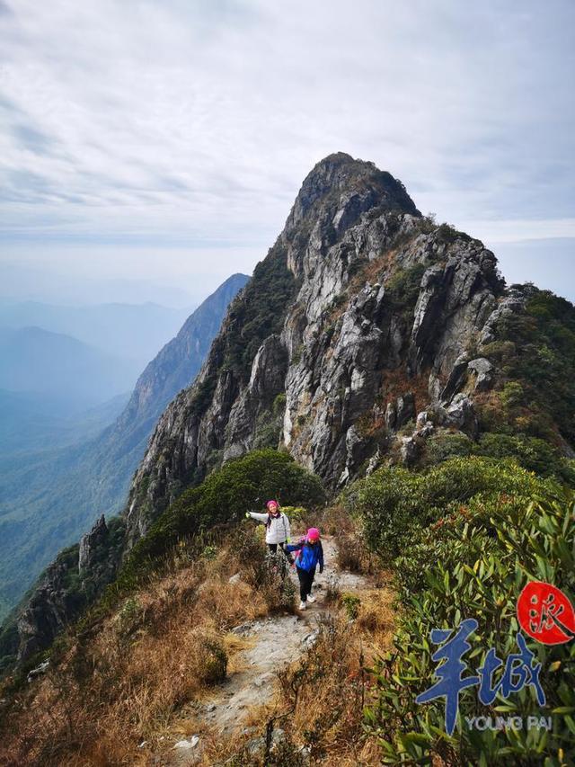 韶闭初兴龙斗峰成岭北新晋爬山圣天，年爬山者远3万人次-3.jpg