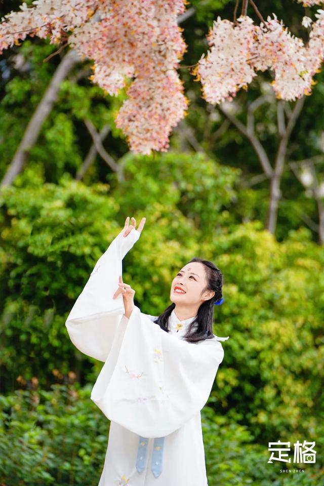 深圳那些处所，花开成海-20.jpg