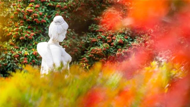 秋节逛吃嗨玩 陕西那些景区能够摆设一下-17.jpg