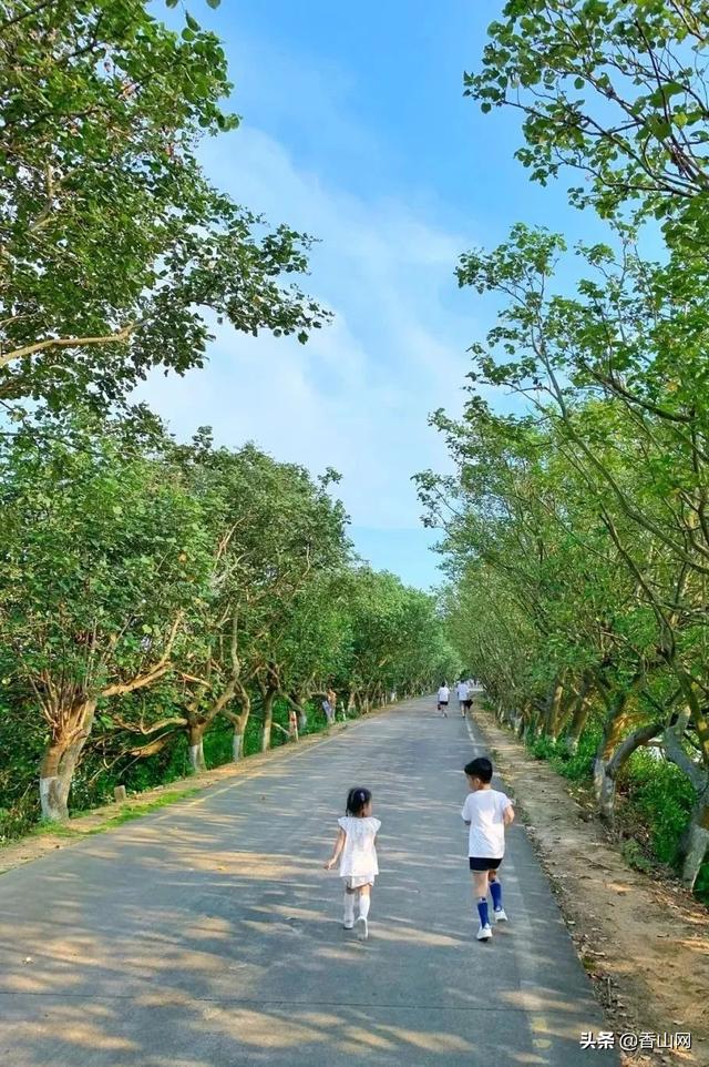 珠海那个最有风情的海岛，水了！不消购票-22.jpg