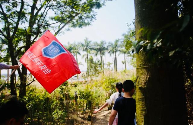 王晨会开秋第一散，珠海淇澳岛绿色植树举动、海边露营烧烤-7.jpg