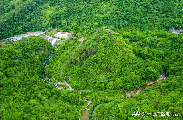 去十堰“森”呵责吸！十堰十年夜丛林康养旅游线路等您挨卡-4.jpg