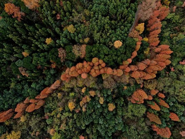 重阳登下，十堰那些赏春名山没有容错过-11.jpg