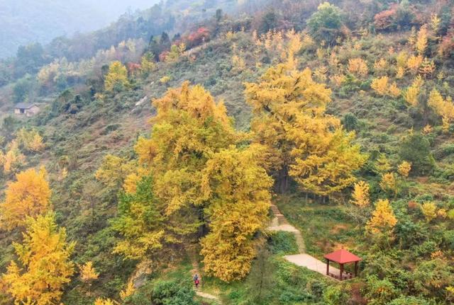 重阳登下，十堰那些赏春名山没有容错过-20.jpg