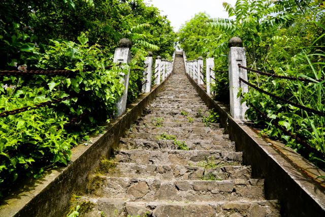 重阳登下，十堰那些赏春名山没有容错过-24.jpg