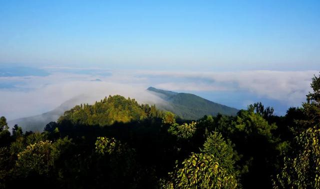 重阳登下，十堰那些赏春名山没有容错过-28.jpg