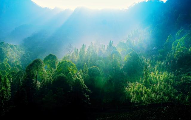 重阳登下，十堰那些赏春名山没有容错过-33.jpg