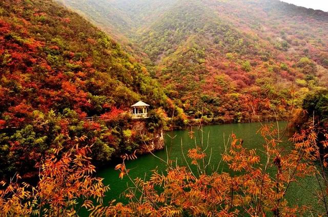 重阳登下，十堰那些赏春名山没有容错过-36.jpg