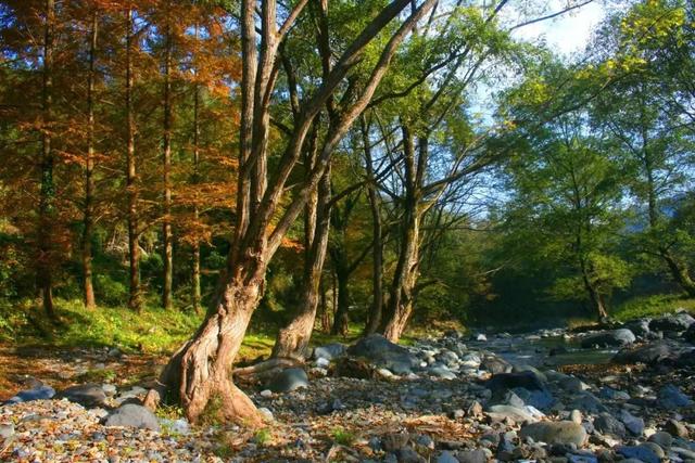 赏花海、不雅山川、品好食 十一少假去竹溪那座小乡吸氧洗肺-12.jpg