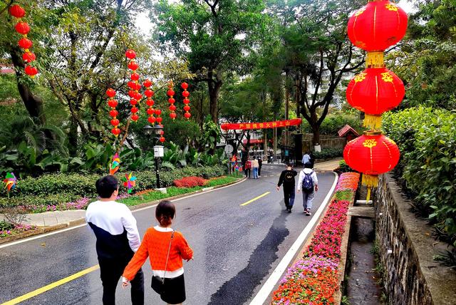 “浸泡”正在珠海自然养吧——板樟山丛林景山讲-2.jpg