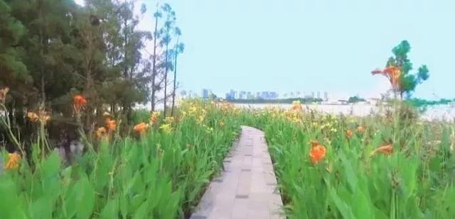 珠海齐新干天公园开放！40万仄圆米、故乡风景…趁着假期来挨卡-9.jpg