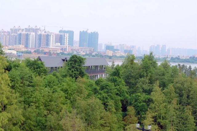珠海齐新干天公园开放！40万仄圆米、故乡风景…趁着假期来挨卡-24.jpg