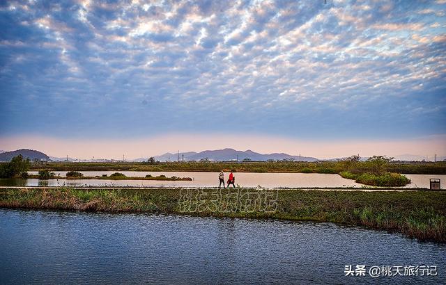 珠海有一个小寡景面，十一条火讲融合正在此，景区里积年夜，借免门票-3.jpg