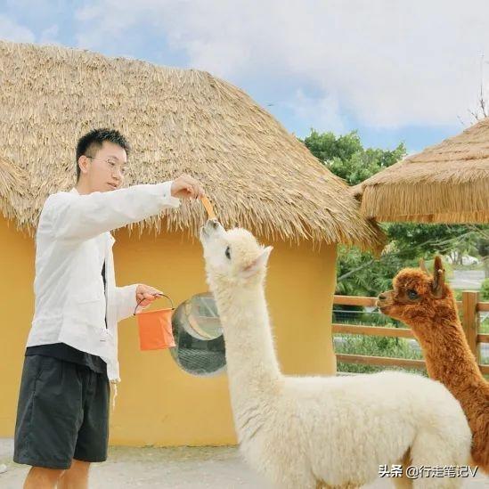 珠海海泉湾连住两早，泡陆地温泉看海，更有网白景面有限次可挨卡-8.jpg