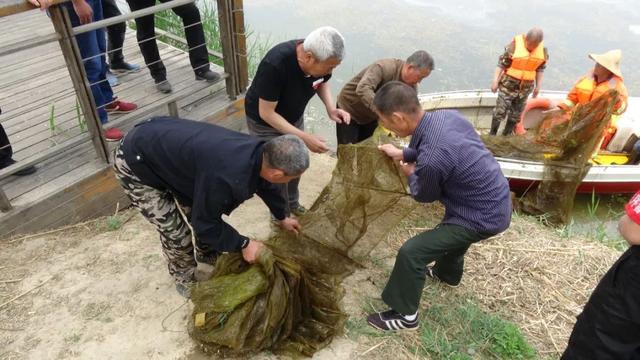 浑净、删绿、控污.......建立斑斓村落，海淀那么做！-11.jpg