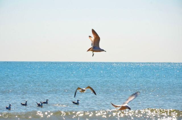 炎天便该来看海！海内那些好玩的海边，您能够只听过第一个！-20.jpg