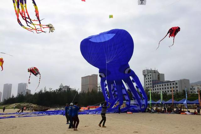 当鹞子赶上沙岸，喷鼻炉湾将有年夜型“陆地死物”出出-7.jpg