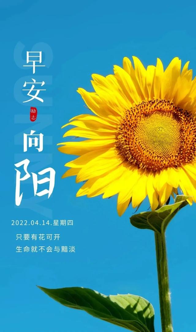 「2022.04.14」晨安心语，正能量最棒表情语录句子 早上好问候图片-34.jpg