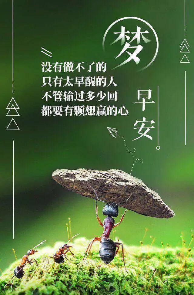 「2022.05.02」晨安心语，正能量案牍语录 斗争没有行早上好典范语录-21.jpg