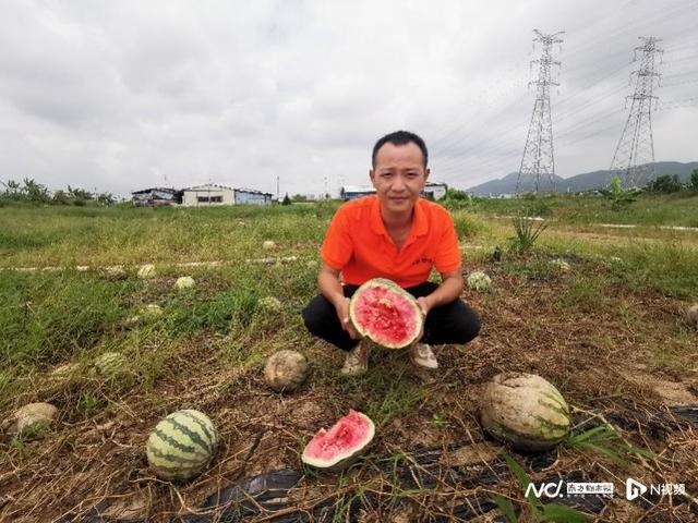 珠海20万斤畅销水果一周“抢”完，背后故事打动齐乡-4.jpg