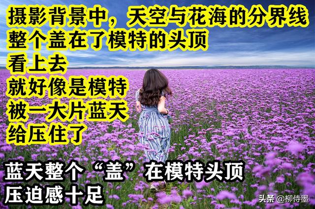 一个主要的拍照本领，大家照相离没有了，照片欠好看的缘故原由找到了-4.jpg