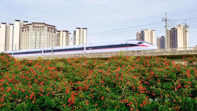 将来交通年夜变样！肇庆将挨制“火陆空”平面综开交通系统……-5.jpg