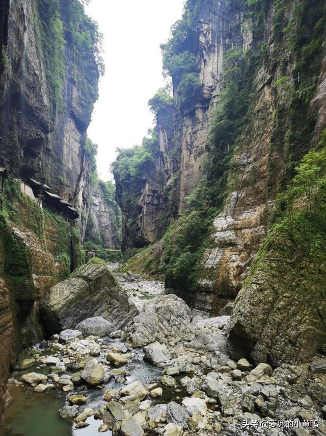 寒假一小我私家的旅游（湖北恩施4-5天道路分享）-45.jpg