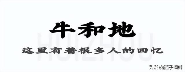 惠州一社区实牛！内里有个年夜市场，很着名-17.jpg