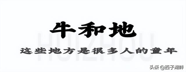 惠州一社区实牛！内里有个年夜市场，很着名-28.jpg