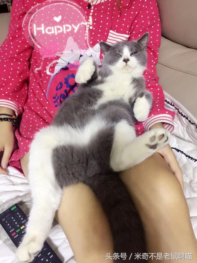 铺开那只猫！有甚么事那位蜜斯姐冲我去！-6.jpg