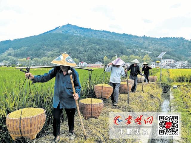 碧云天黄叶天 竹溪春景引人醒-3.jpg