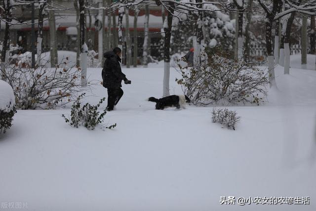 气候预告：特年夜暴雪打击北方，连下6天，倒秋热成定局？农谚咋道-2.jpg