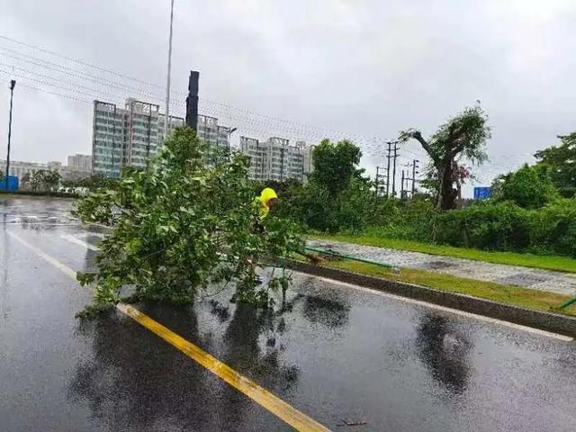 “暹芭”已登岸，金湾那些门路暂时管束，航班打消、公交停运、最新气候…-7.jpg