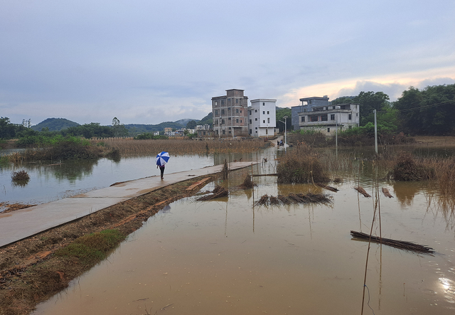 遭受大水、现洪峰火位、多个站面火位超警！肇庆最新状况是-13.jpg