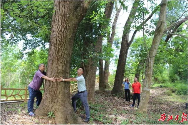 肇庆那个动物园满是“宝躲”！它们是…...-6.jpg