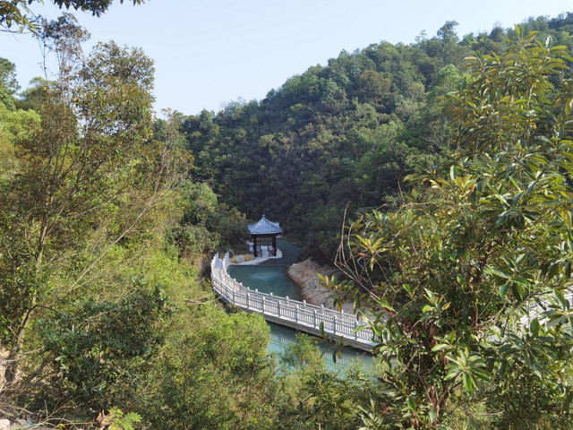 喜迎两十年夜 助推公园都会建立 珠海市住房战乡城建立局构造第三党收部到白花山丛林公园展开主题党日举动-1.jpg