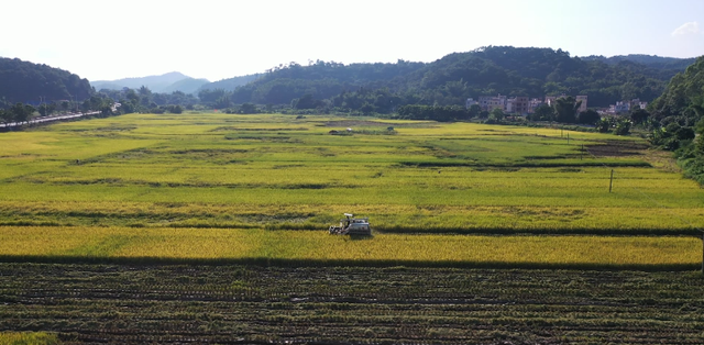 那是古夏，肇庆最好的光景！-8.jpg