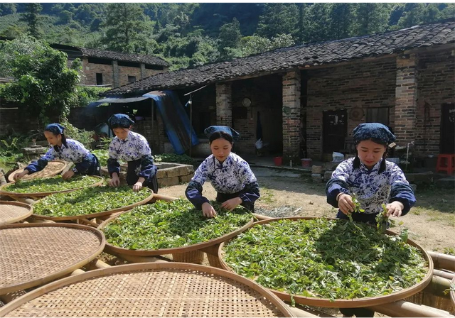 喷鼻飘“出圈”！肇庆那些好食，正啊-16.jpg