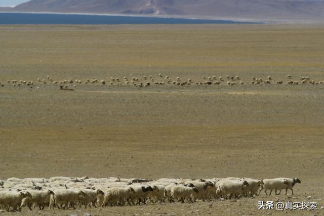 西躲最奥秘圣山冈仁波齐东北，印度河源探察记-50.jpg