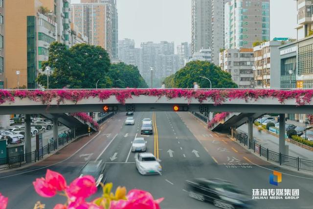 珠海，又静静“白”了-7.jpg