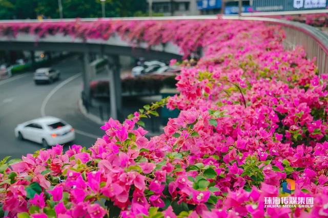 珠海，又静静“白”了-13.jpg