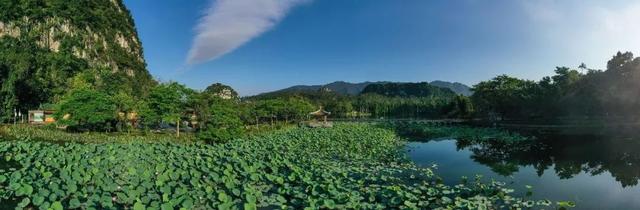 对没有起，我念留正在肇庆-4.jpg