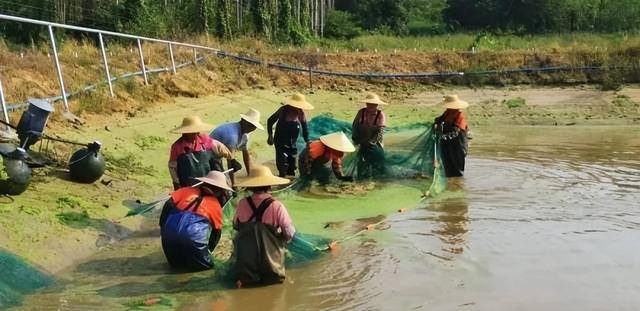 【斗争者·正芳华】年青的他们，正在肇庆“水”了！-3.jpg