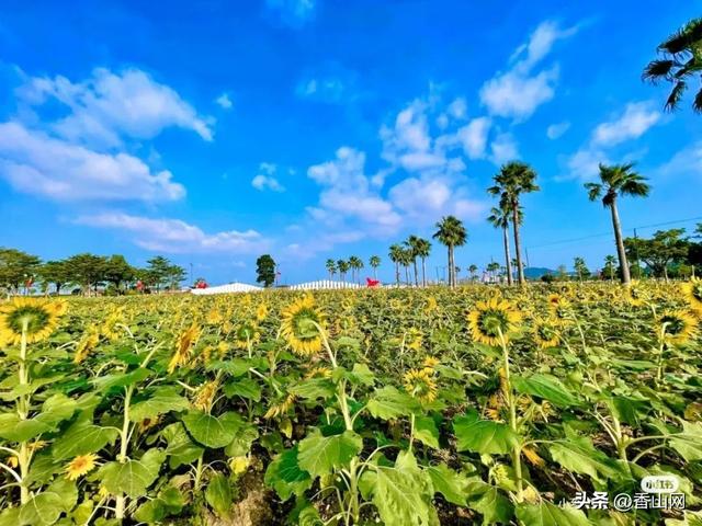 珠海秋日那些景面，尽好-10.jpg