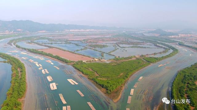 超20万亩！台山干天画出新光景-10.jpg