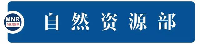 深圳：以“四年夜动作”为抓脚促进“公园都会”建立-1.jpg